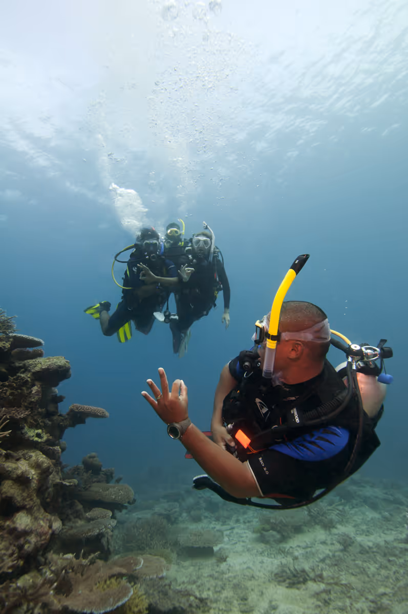 Photo to illustrate the two-fun-dives tour