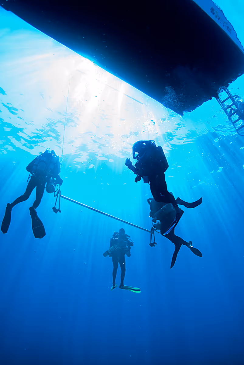 Photo to illustrate the advanced-open-water-diver course