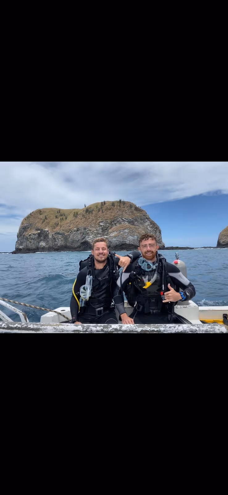 Tortuga marina descansando en el arrecife de coral durante la excursión de buceo