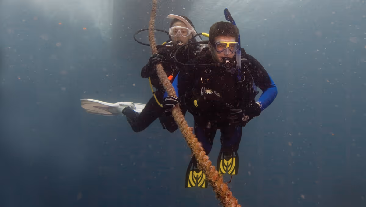 Photo to illustrate 2 Inmersiones de Exploracion